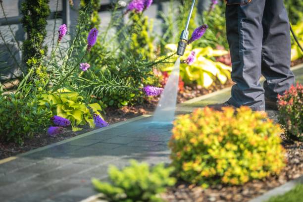 Best Boat and Dock Cleaning  in Tustin, CA